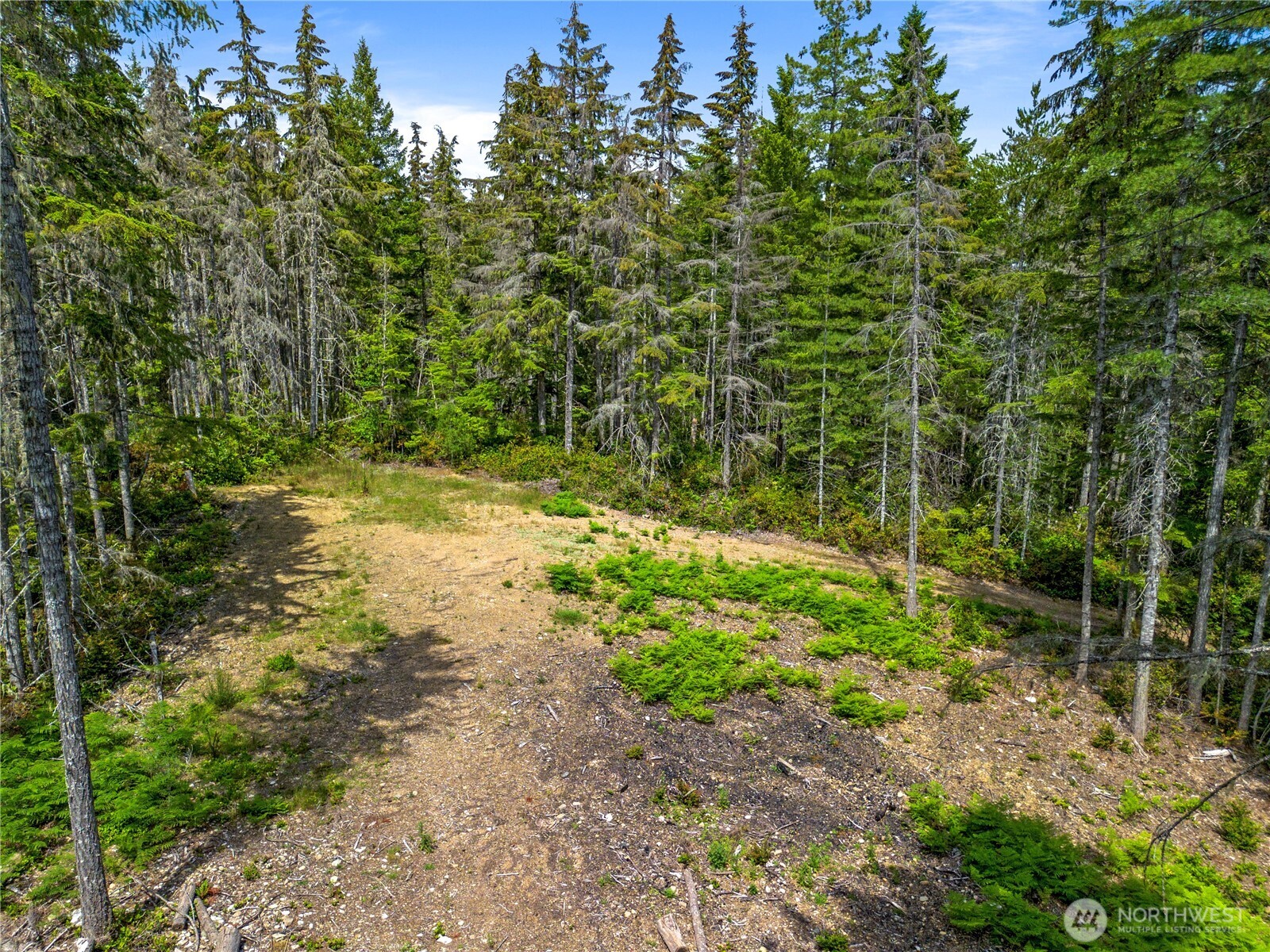 905 Northeast Tahuya Blacksmith Road Tahuya, WA 98588 - Photo 8 of 22 a view of yard