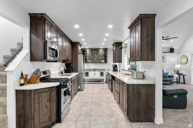 10686 South Covered Brg Cyn Road, Unit 14 Spanish Fork, UT 84660 - Photo 30 of 44 Galley kitchen featuring dark wood cabinetry, stainless steel appliances, and light-toned countertops