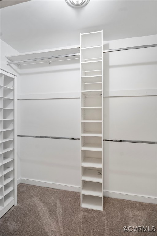 2208 Persimmon Trek Henrico, VA 23233 - Photo 24 of 44 a view of walk in closet with empty racks