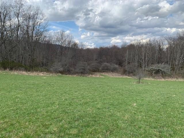 Tbd Big Valley Road Monterey, VA 24465 - Photo 7 of 17 Gallery Image 7