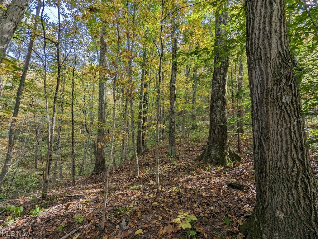 Crabapple Road Alledonia, OH 43902 - Photo 1 of 21
