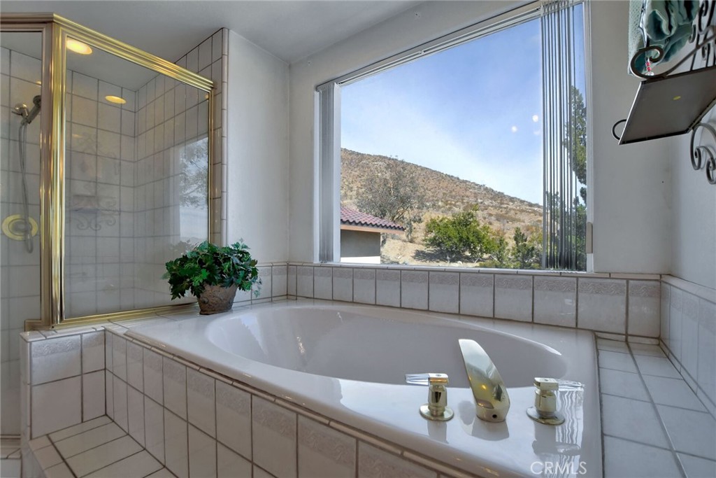 18032 Ohna Road Apple Valley, CA 92307 - Photo 39 of 65 a bathroom with a tub a potted plant on the counter and shower