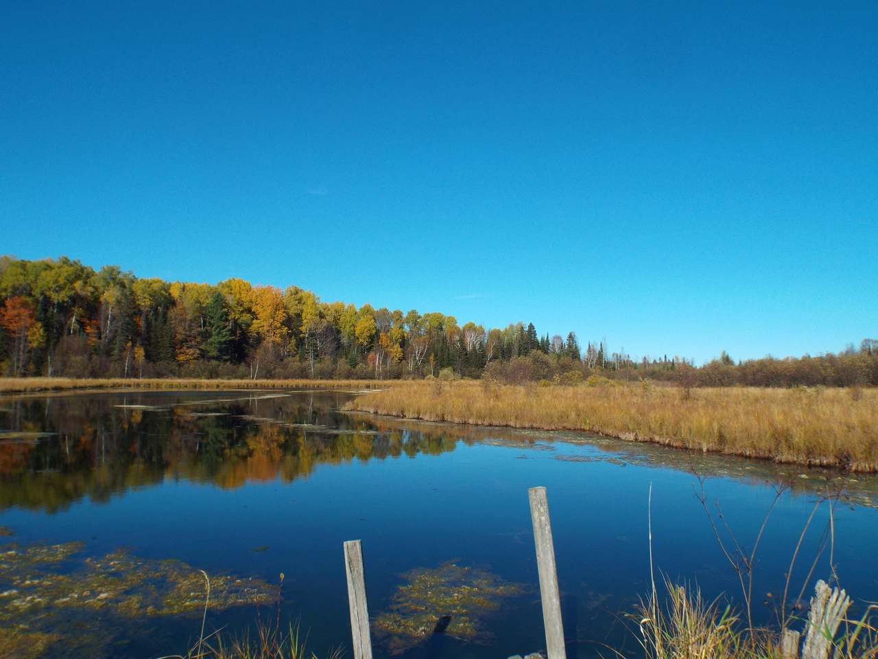 1132 Range Line Road Wabeno, WI 54566 - Photo 23 of 62 Gallery Image 23