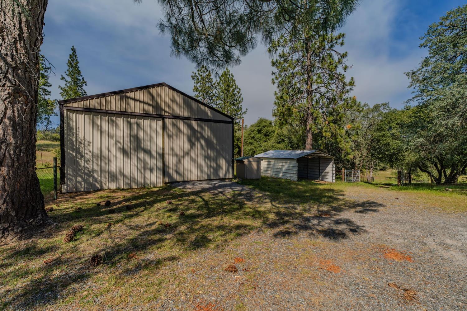 6216 Trout Lane Mountain Ranch, CA 95246 - Photo 19 of 39 a backyard of a house with lots of green space