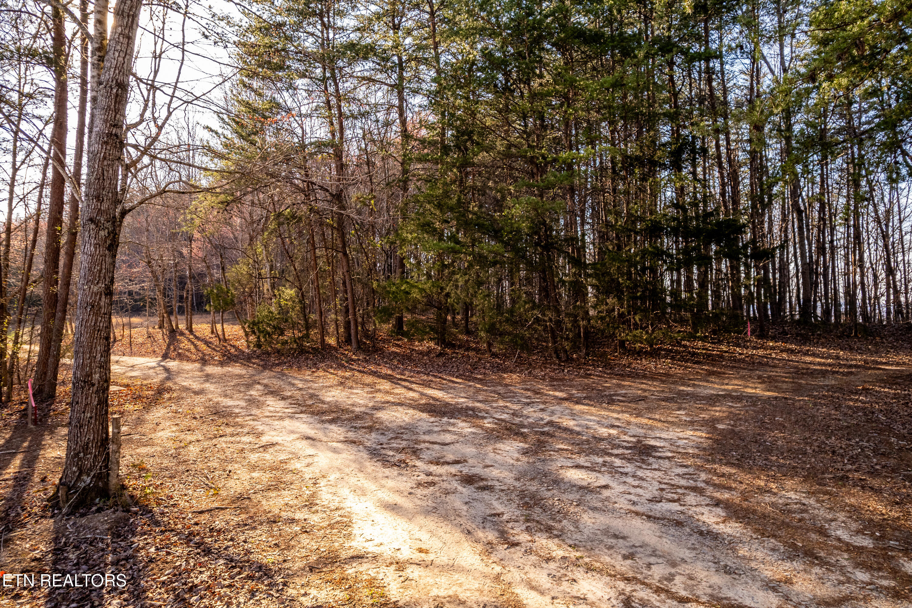 184 Badger Road Madisonville, TN 37354 - Photo 16 of 31 184BadgerRd-30
