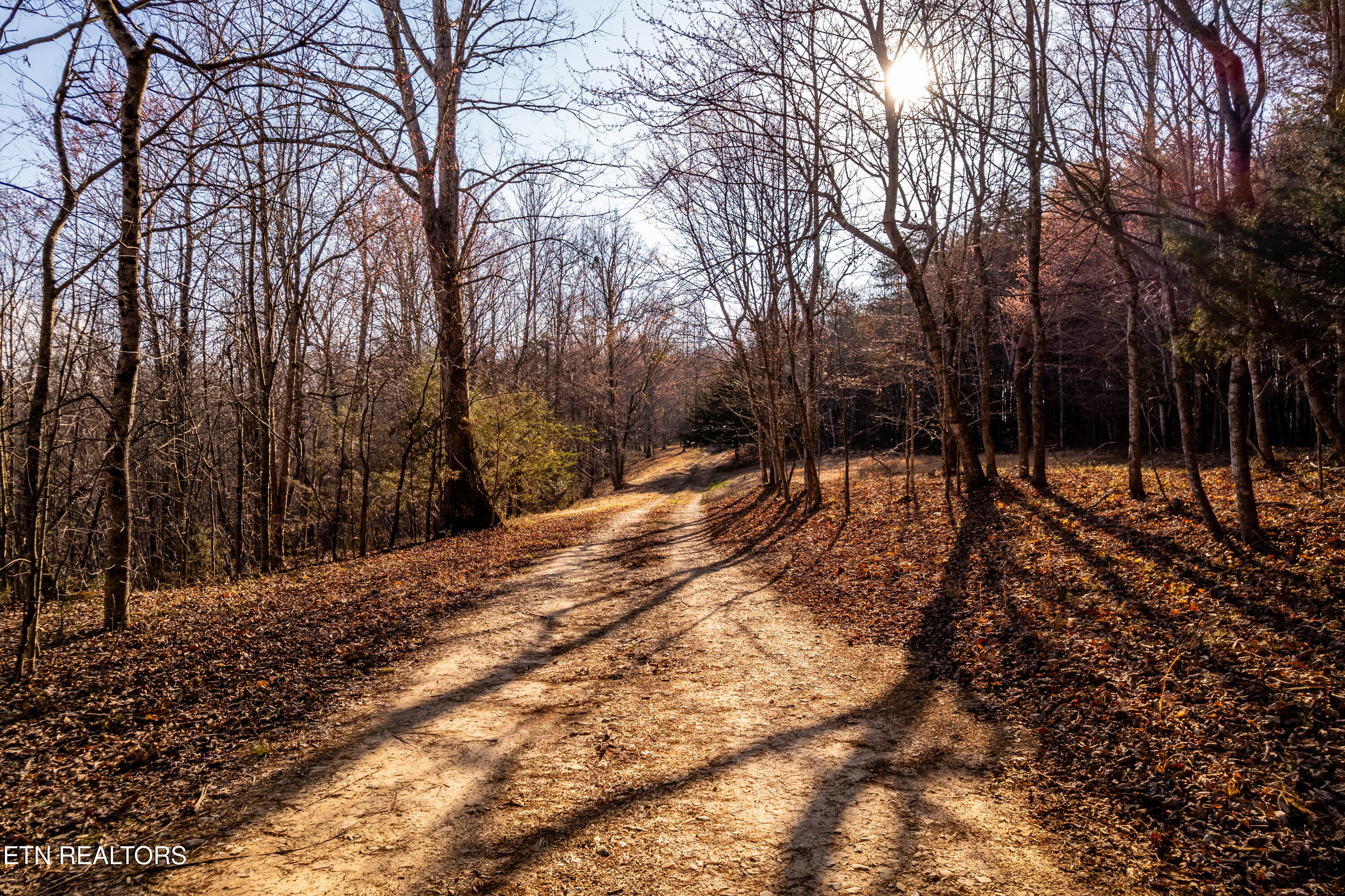 184 Badger Road Madisonville, TN 37354 - Photo 17 of 31 184BadgerRd-31