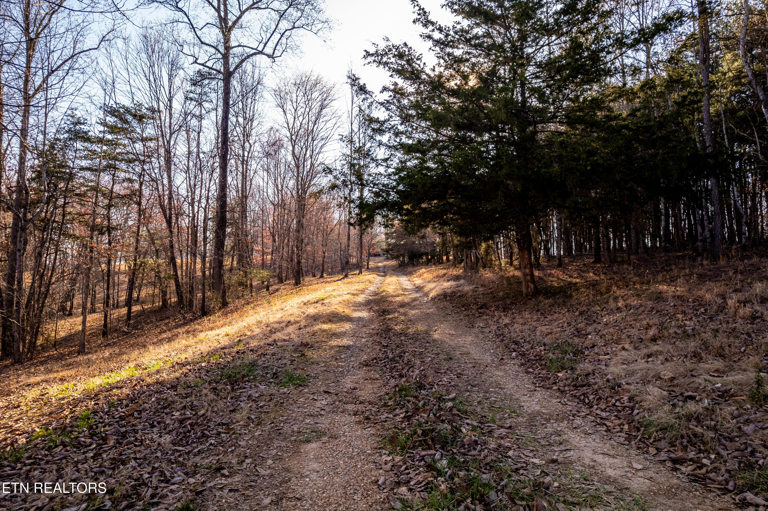 184 Badger Road Madisonville, TN 37354 - Photo 18 of 31 184BadgerRd-32