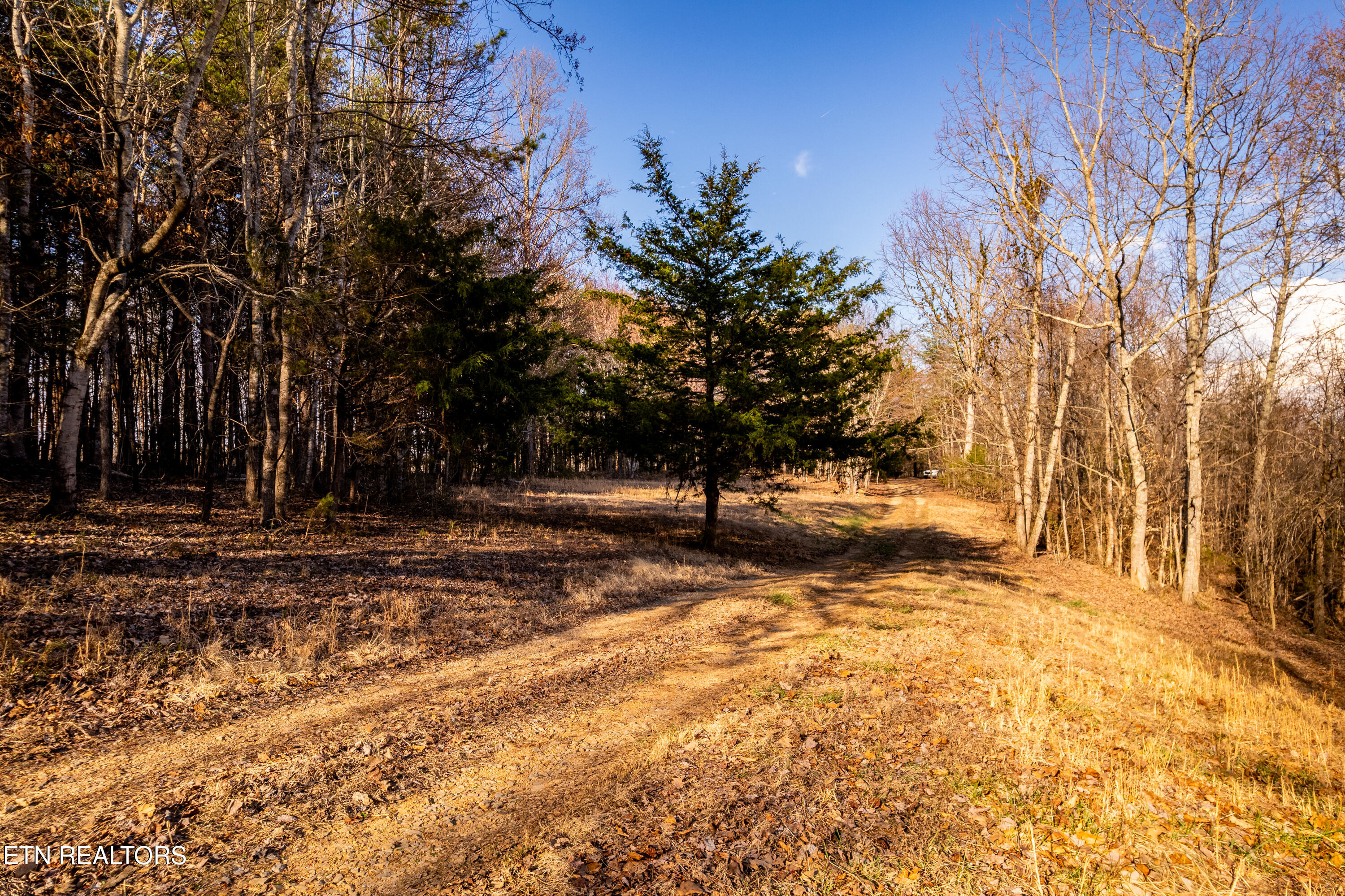 184 Badger Road Madisonville, TN 37354 - Photo 19 of 31 184BadgerRd-33