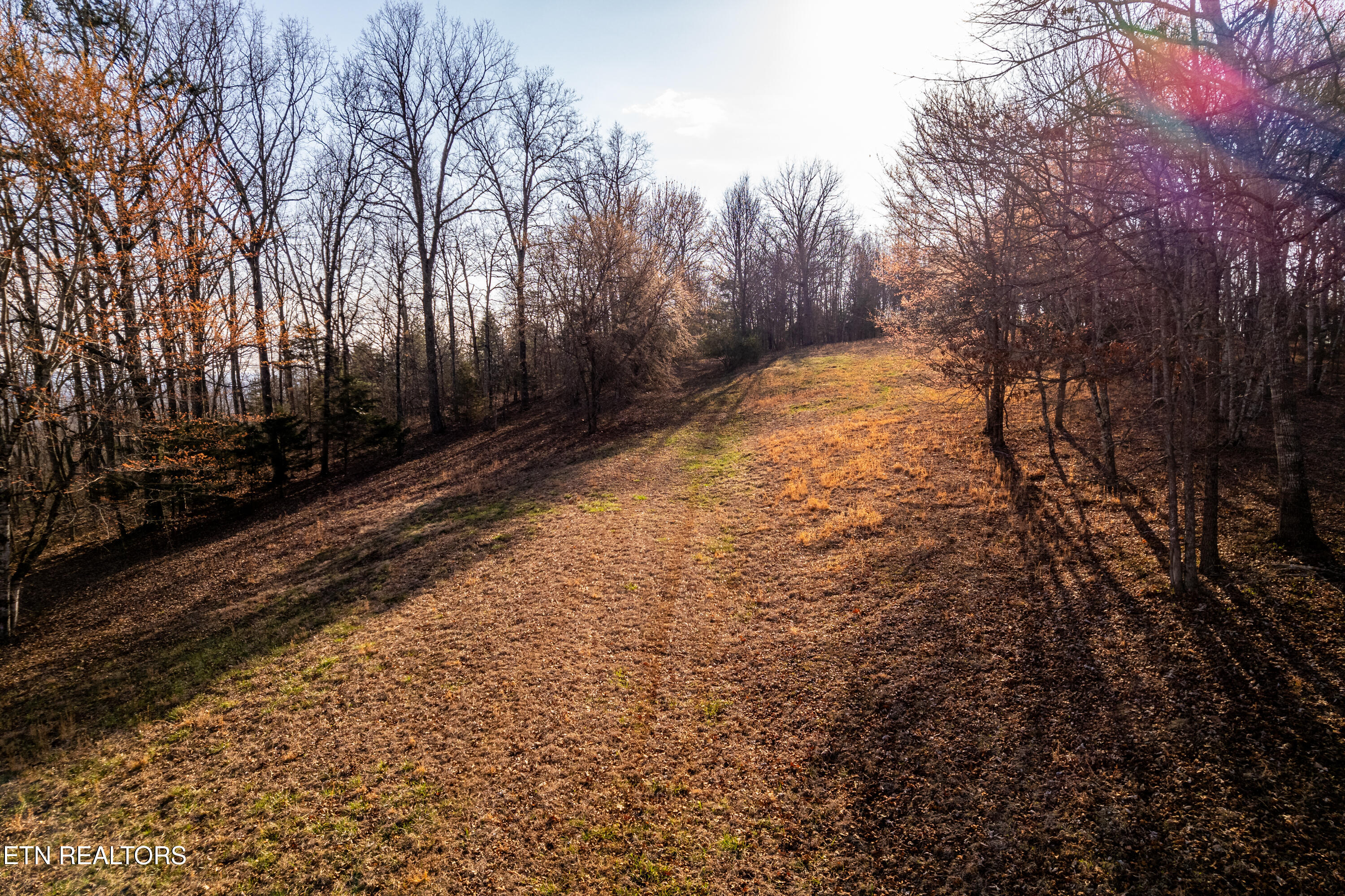 184 Badger Road Madisonville, TN 37354 - Photo 26 of 31 184BadgerRd-43