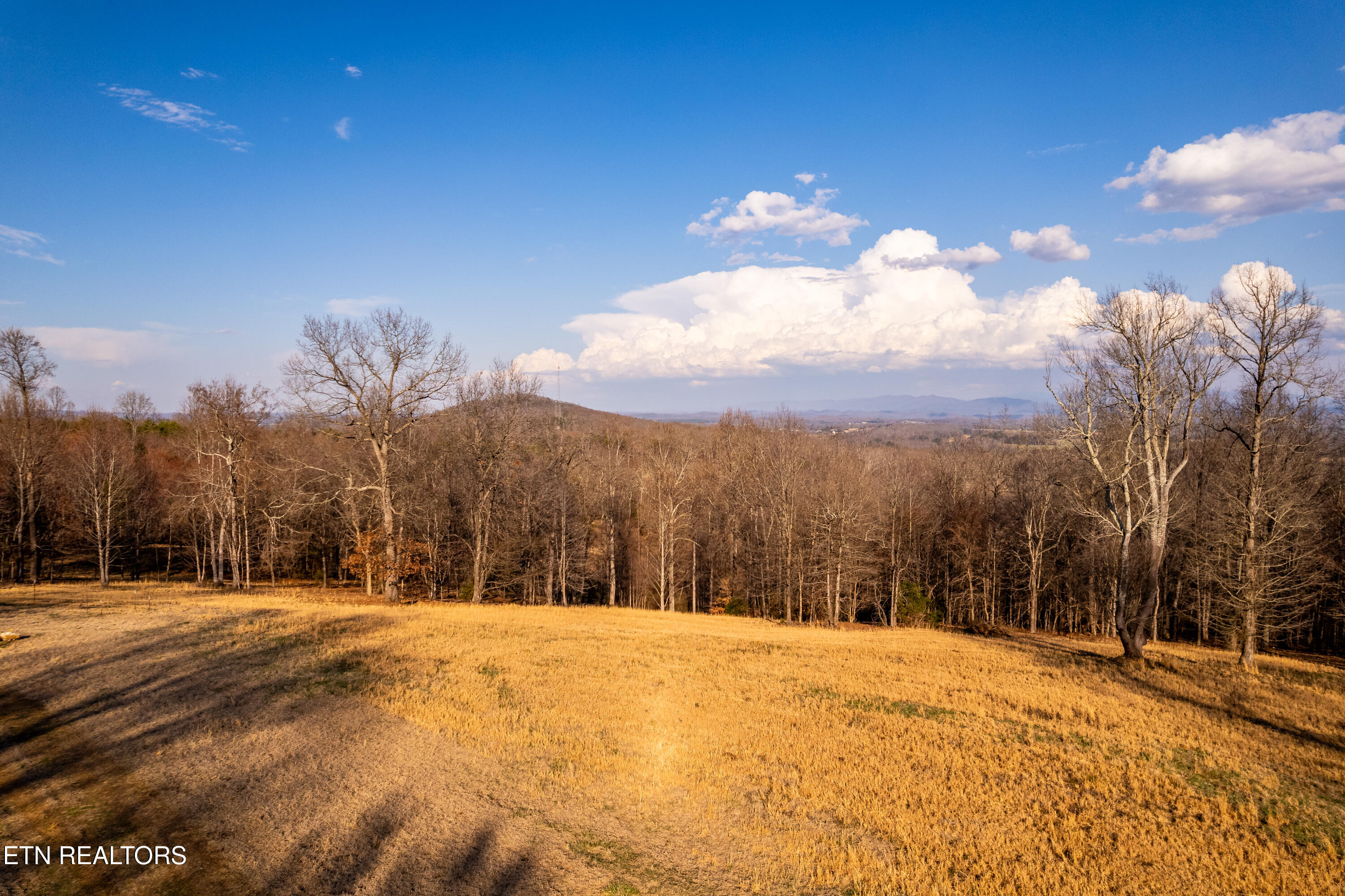184 Badger Road Madisonville, TN 37354 - Photo 27 of 31 184BadgerRd-45