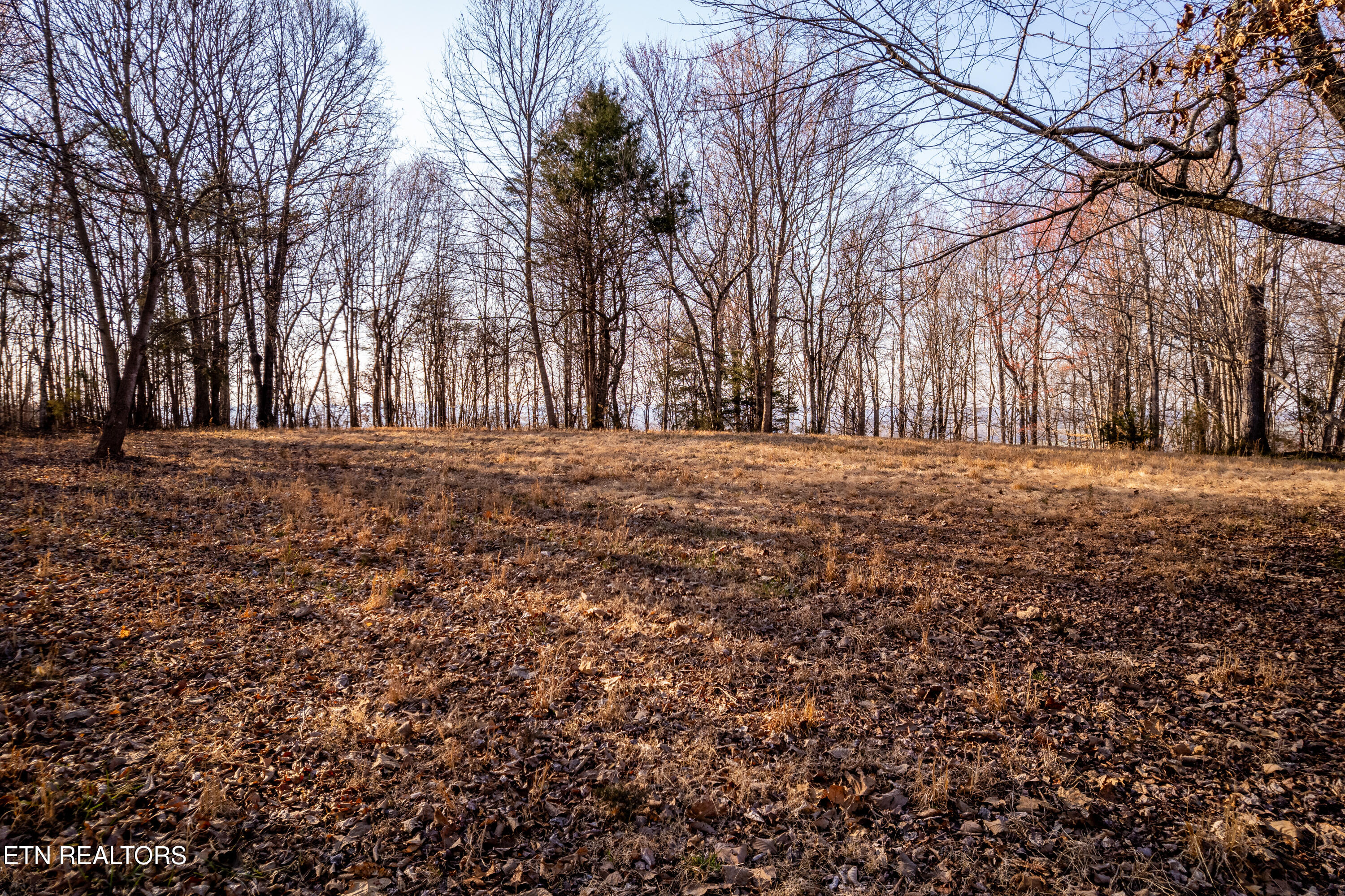 184 Badger Road Madisonville, TN 37354 - Photo 28 of 31 184BadgerRd-47