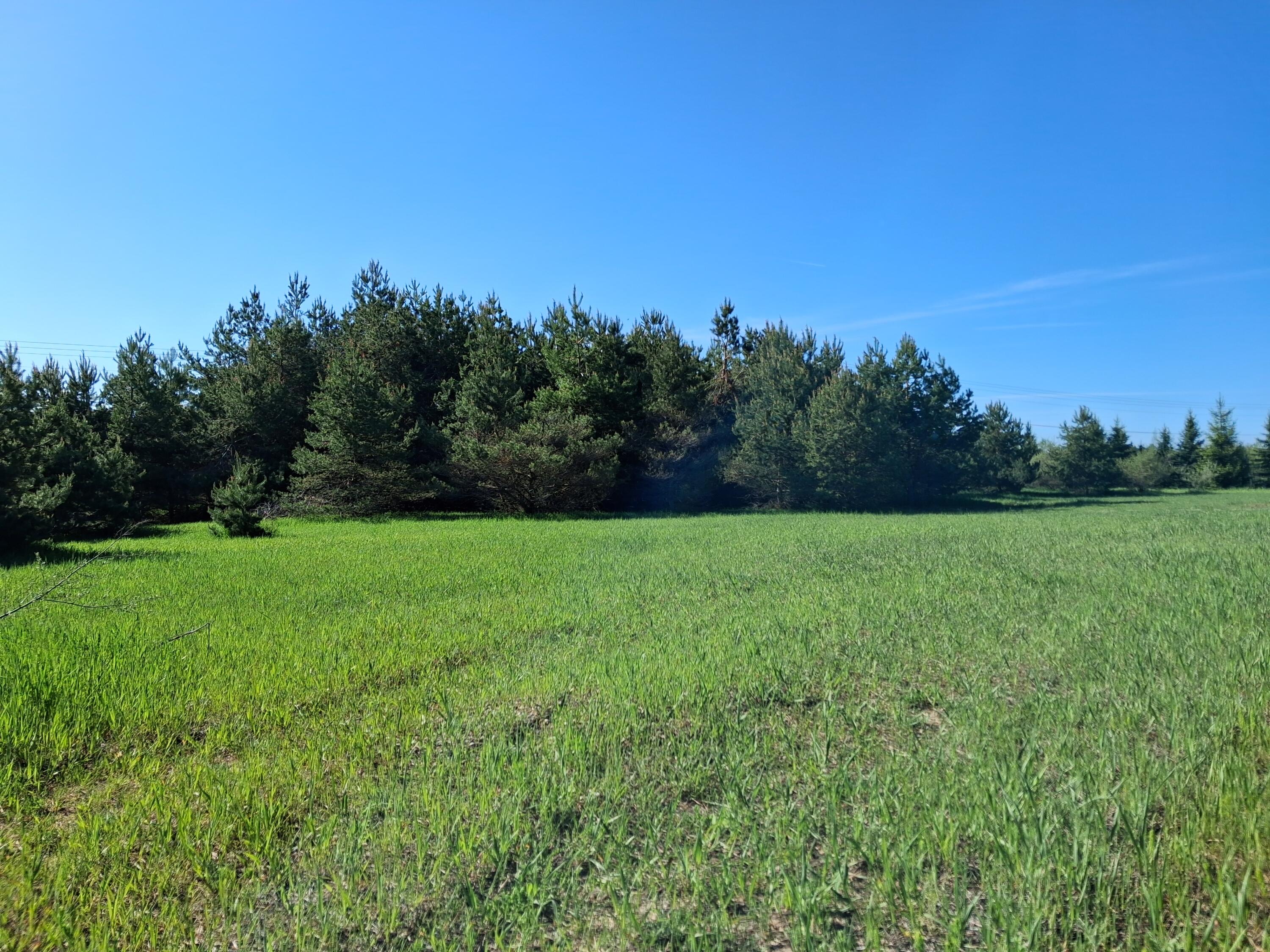 3201 Indian Trail Road Cheboygan, MI 49721 - Photo 4 of 9 20260529_093532