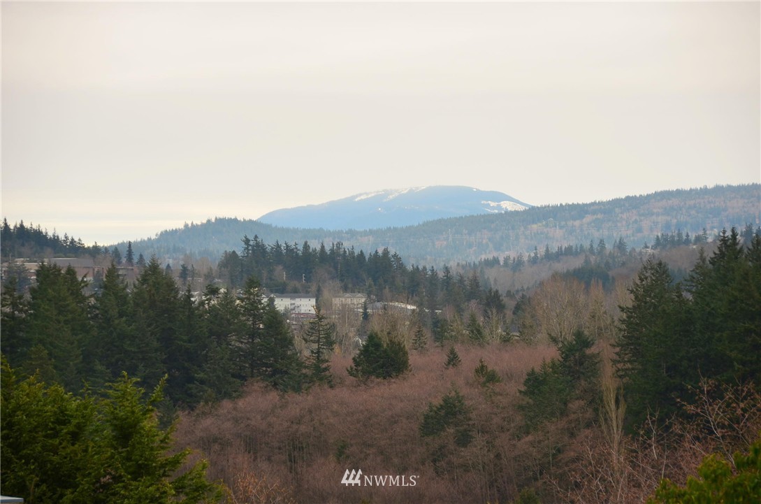515 Cypress Road Bellingham, WA 98225 - Photo 7 of 20