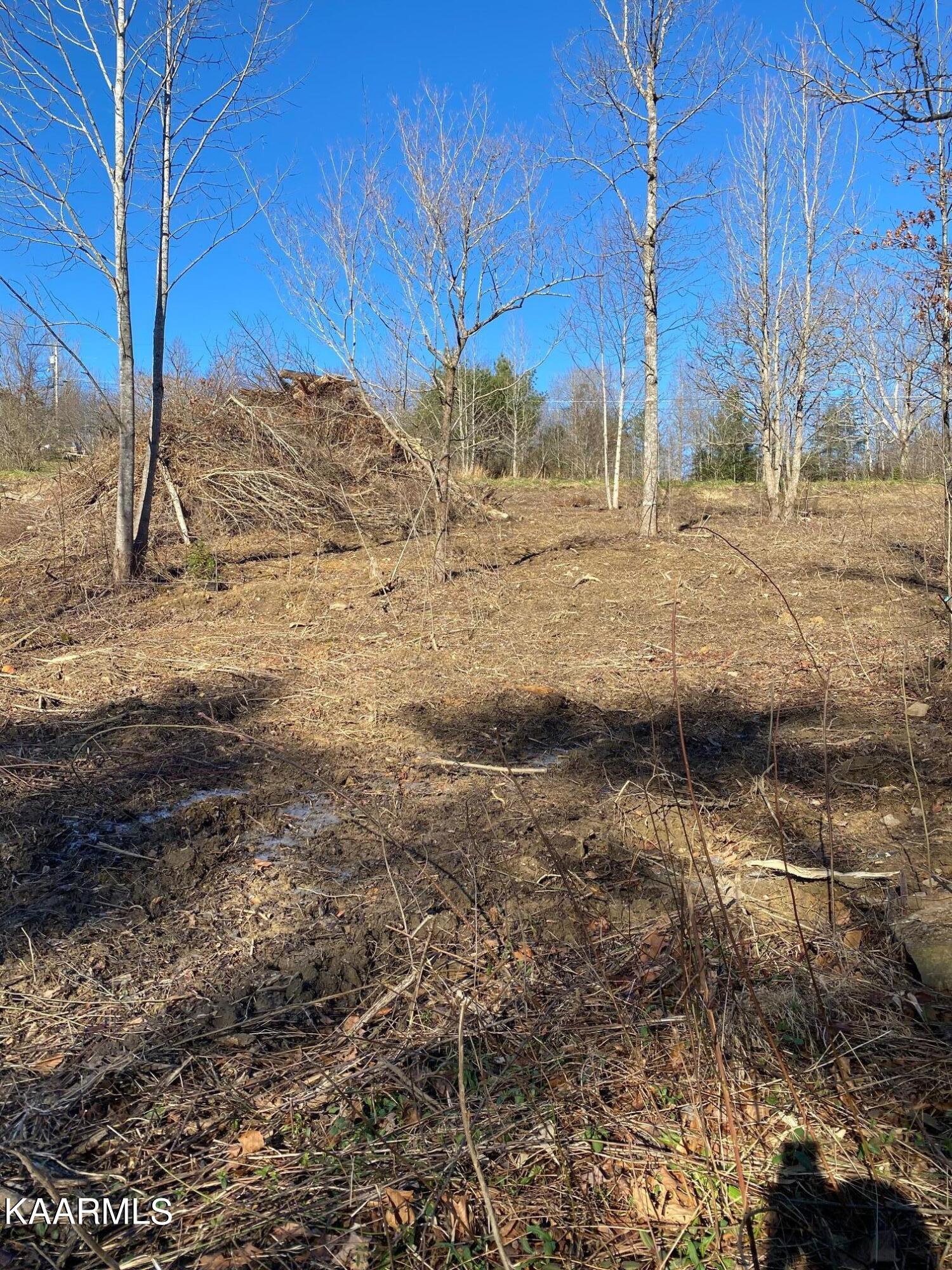 940 Anderson Hollow Road Huntsville, TN 37756 - Photo 1 of 13 IMG_7844