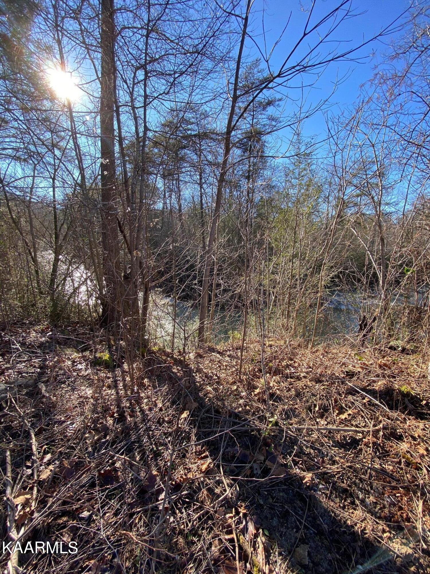 940 Anderson Hollow Road Huntsville, TN 37756 - Photo 11 of 13 IMG_7854