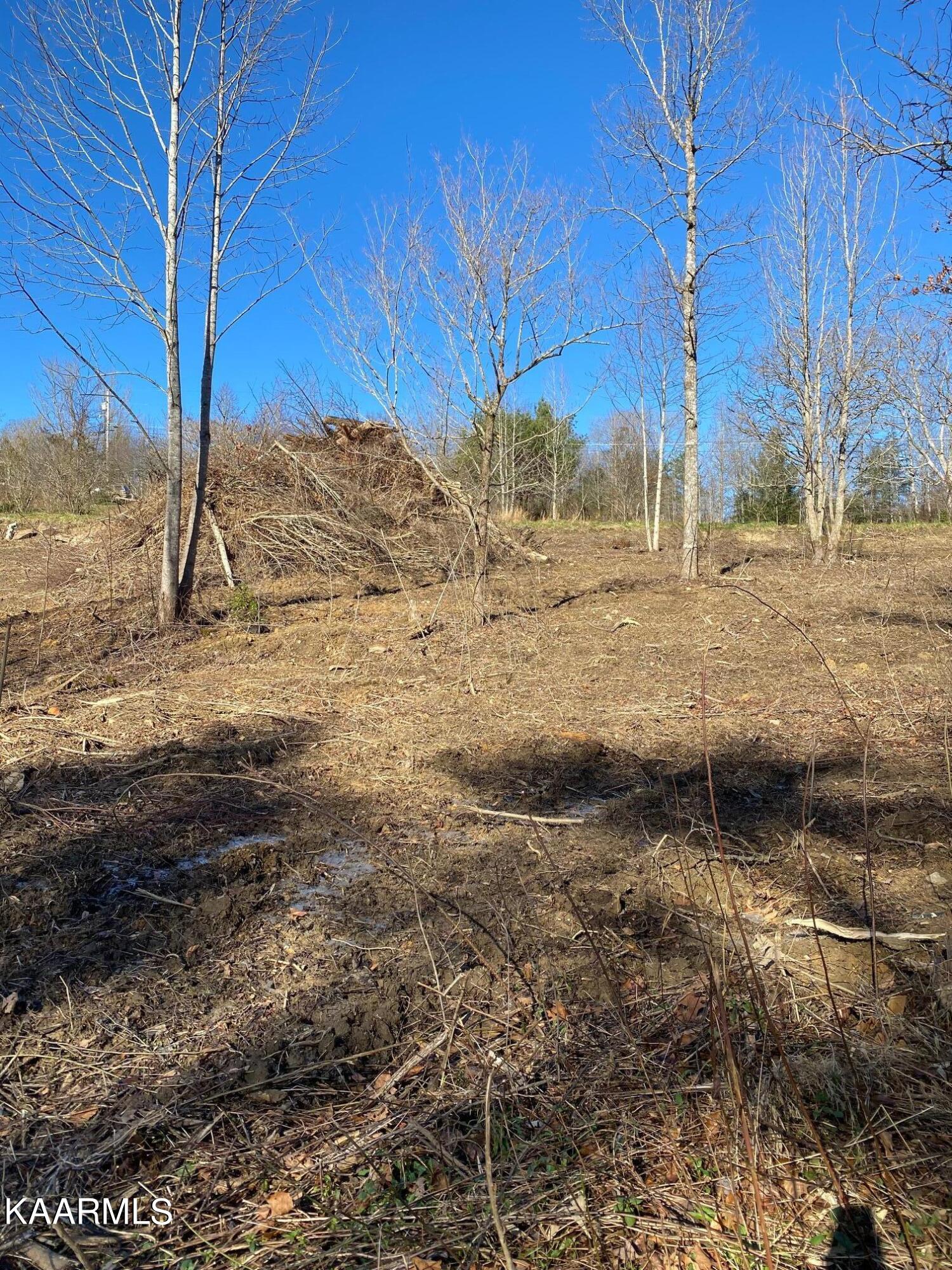 940 Anderson Hollow Road Huntsville, TN 37756 - Photo 2 of 13 IMG_7845