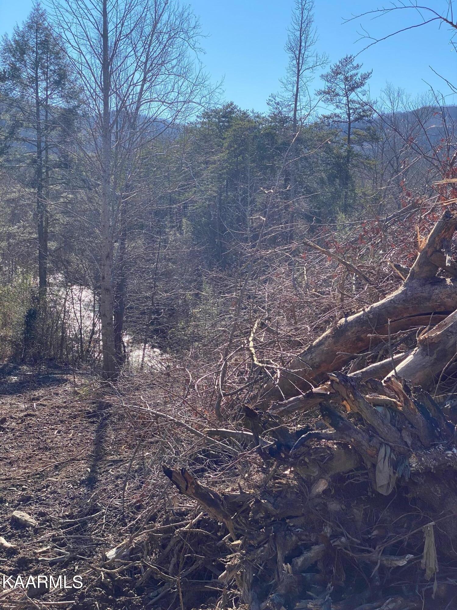 940 Anderson Hollow Road Huntsville, TN 37756 - Photo 6 of 13 IMG_7849
