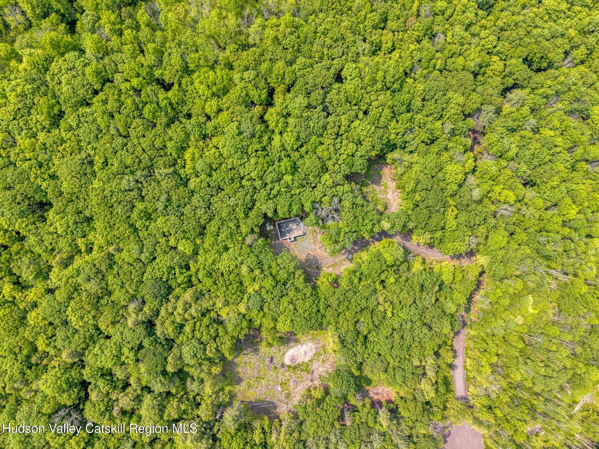 Tbd Boulder Brook Road Windham, NY 12496 - Photo 19 of 37 a backyard of a house with a tree