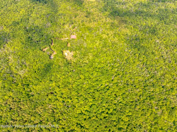 a view of a lush green hillside and a houses