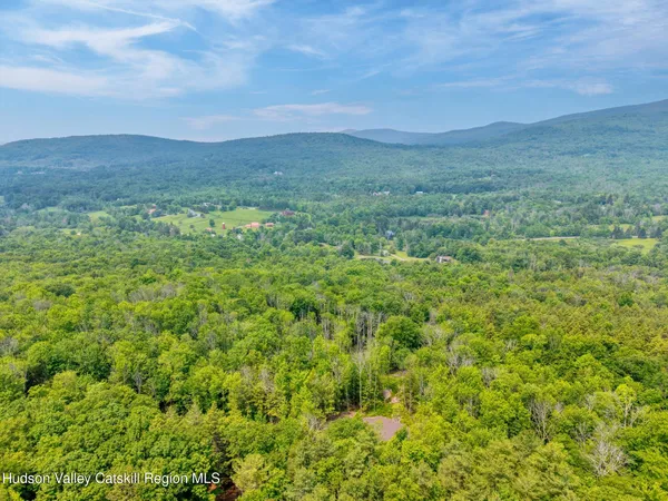 a view of a green field with lots of bushes