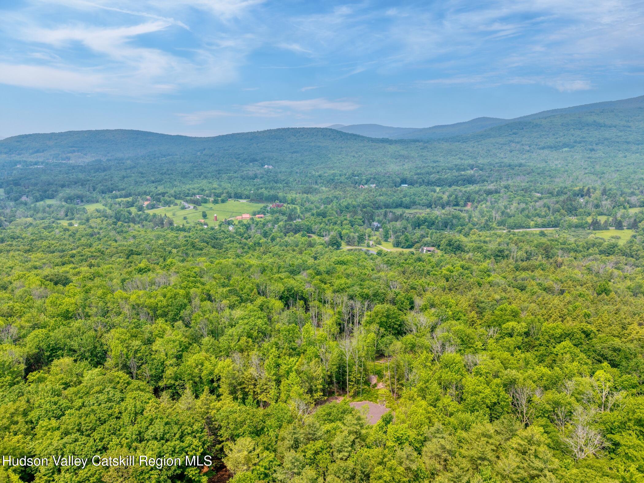 Tbd Boulder Brook Road Windham, NY 12496 - Photo 26 of 37 a view of a lush green hillside and a houses