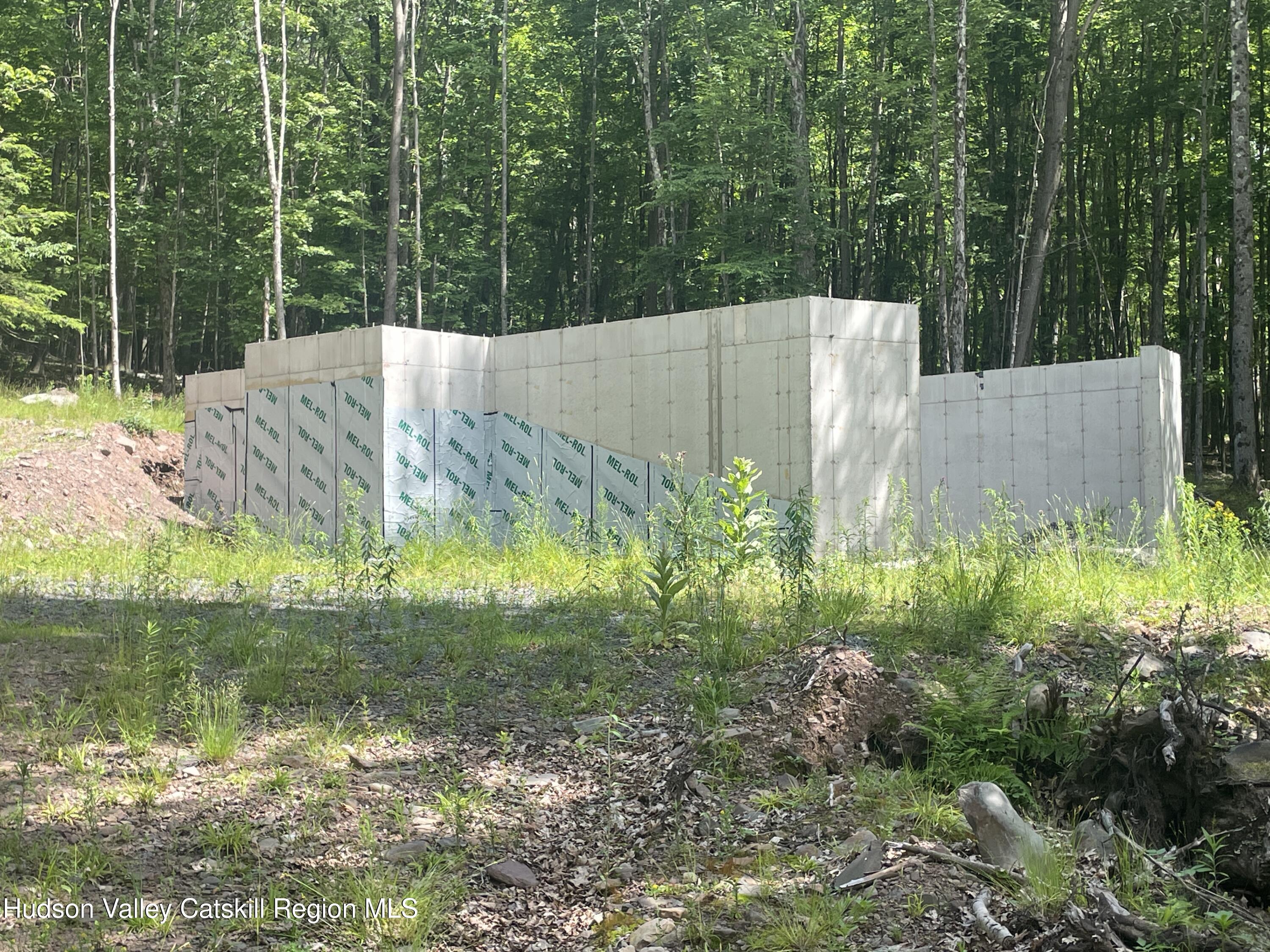 Tbd Boulder Brook Road Windham, NY 12496 - Photo 4 of 37 a view of a back yard