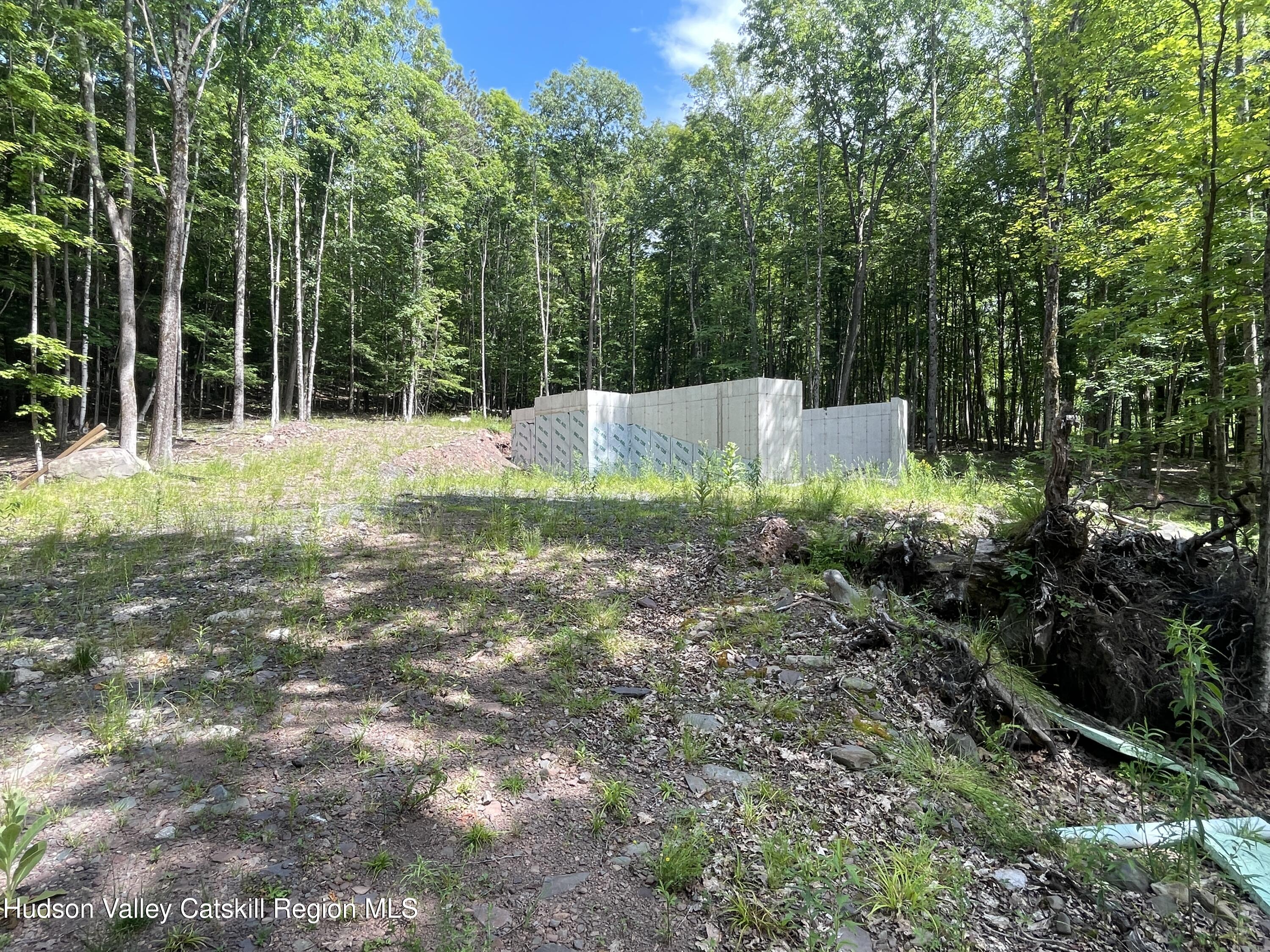 Tbd Boulder Brook Road Windham, NY 12496 - Photo 5 of 37 a view of a back yard
