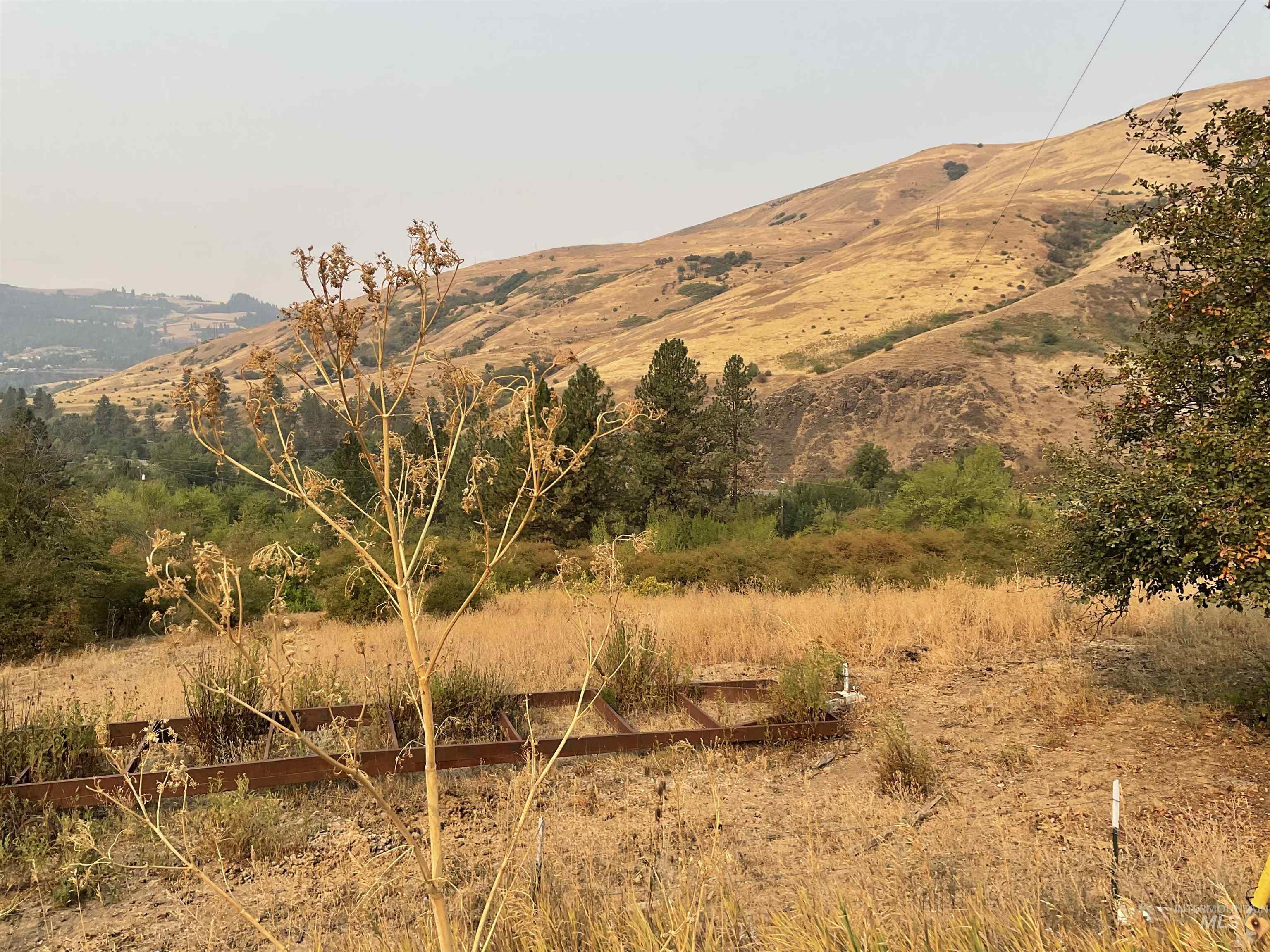 13790 Cross Farm Road Juliaetta, ID 83535 - Photo 3 of 11 View of mountain background