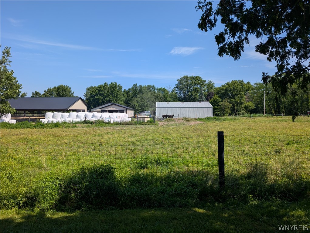 3402 Fruit Avenue Ridgeway, NY 14103 - Photo 48 of 50