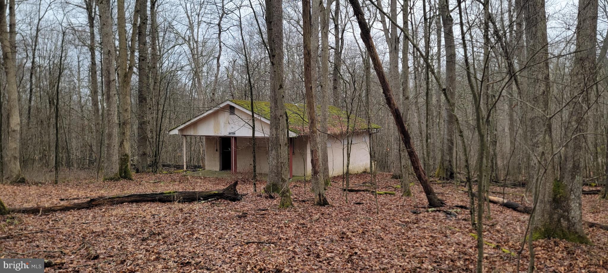 Camp Galilee Road Terra Alta, WV 26764 - Photo 30 of 40