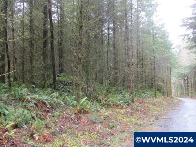 0 Zurfluh Road Scio, OR 97374 - Photo 6 of 14