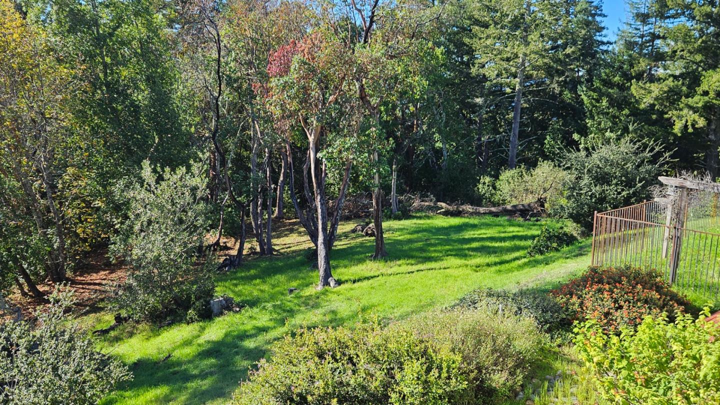 600 Ridge Top Road Los Gatos, CA 95033 - Photo 72 of 81 a view of green field