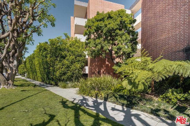 a plant that is in front of a building