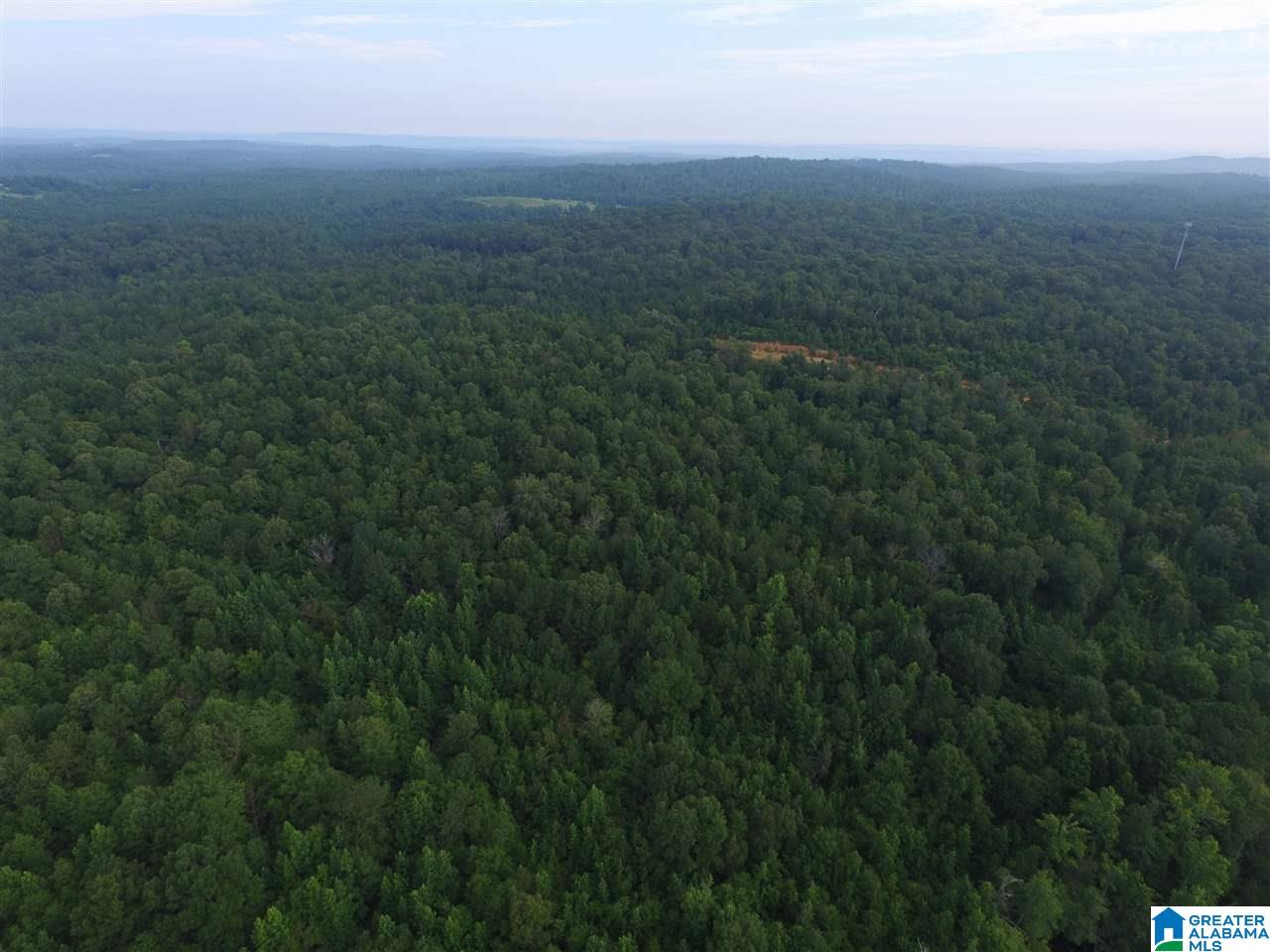 0 Morris Farms Drive Riverside, AL 35135 - Photo 12 of 18