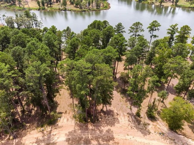 a view of a lake with a tree