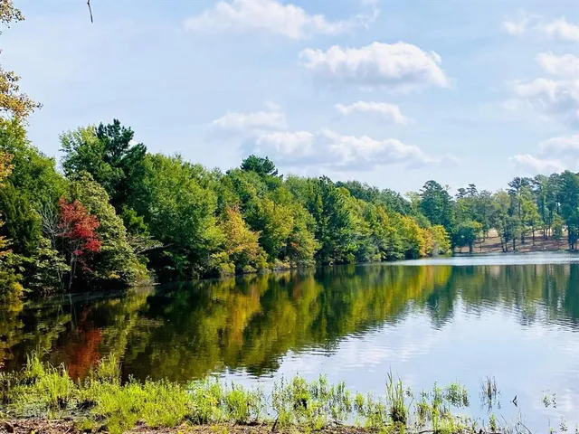a view of a lake with a mountain