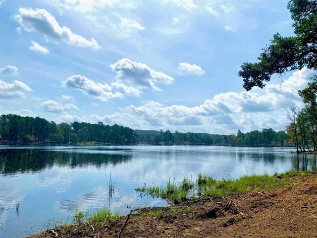a view of outdoor space with trees