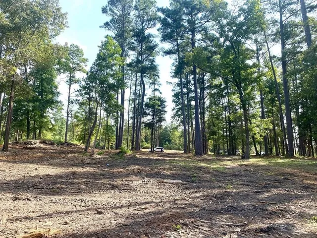 a view of a tree in front of a building