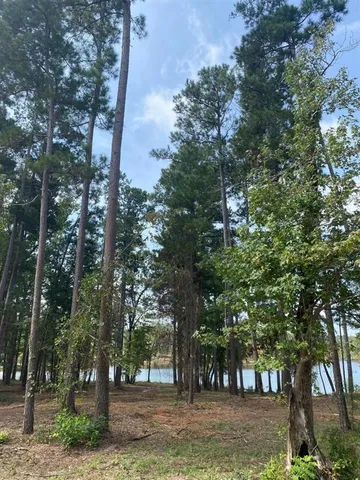 a view of a yard with large trees