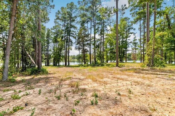 a view of outdoor space with trees
