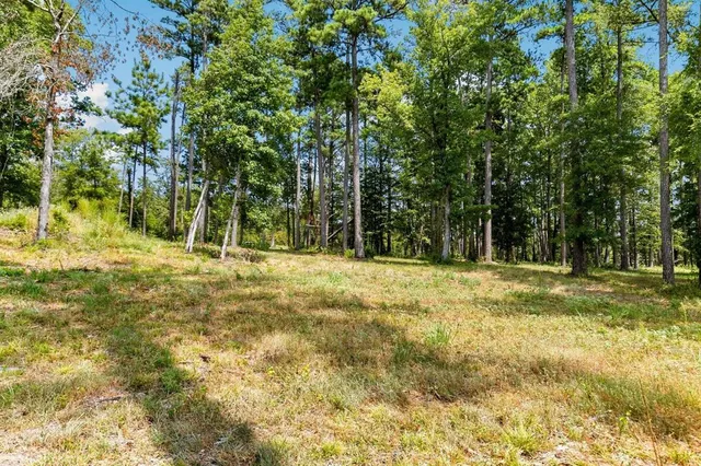 a view of outdoor space with trees