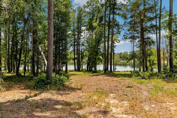 a big yard with trees