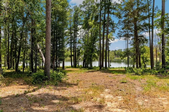 a big yard with trees
