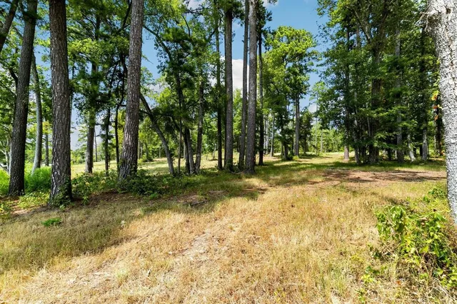 a view of outdoor space with trees