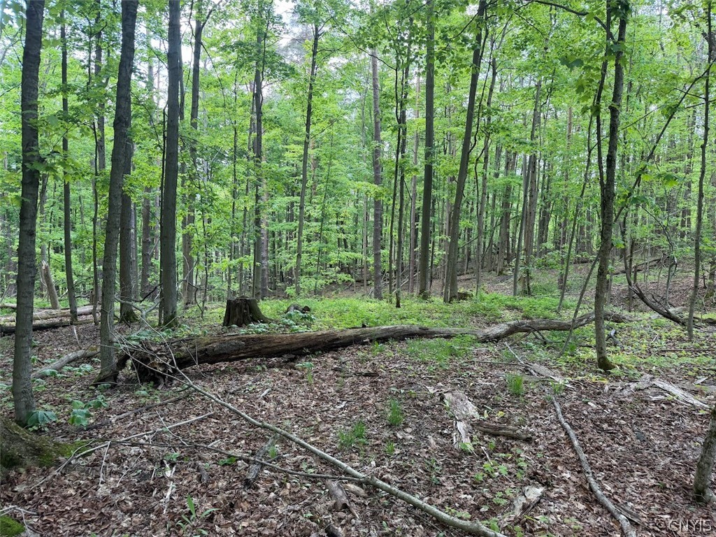 Dye Road South Dayton, NY 14138 - Photo 12 of 27
