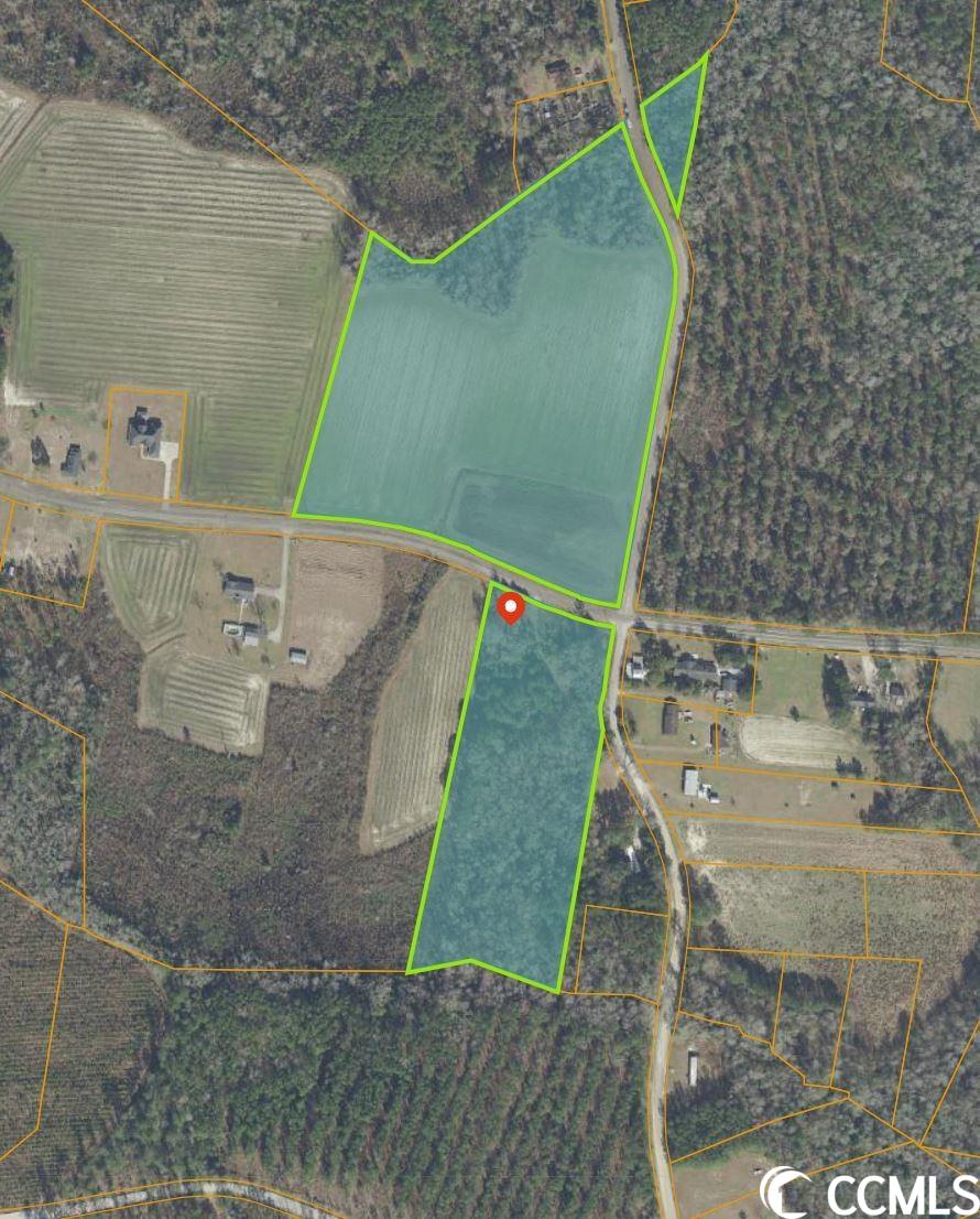 3637 Bethal Chapel Road Loris, SC 29569 - Photo 3 of 3 Gallery Image 3