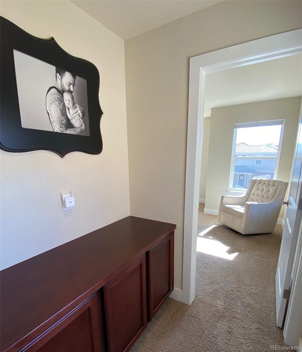 10597 Rutledge Street Parker, CO 80134 - Photo 16 of 29 Gallery Image 16