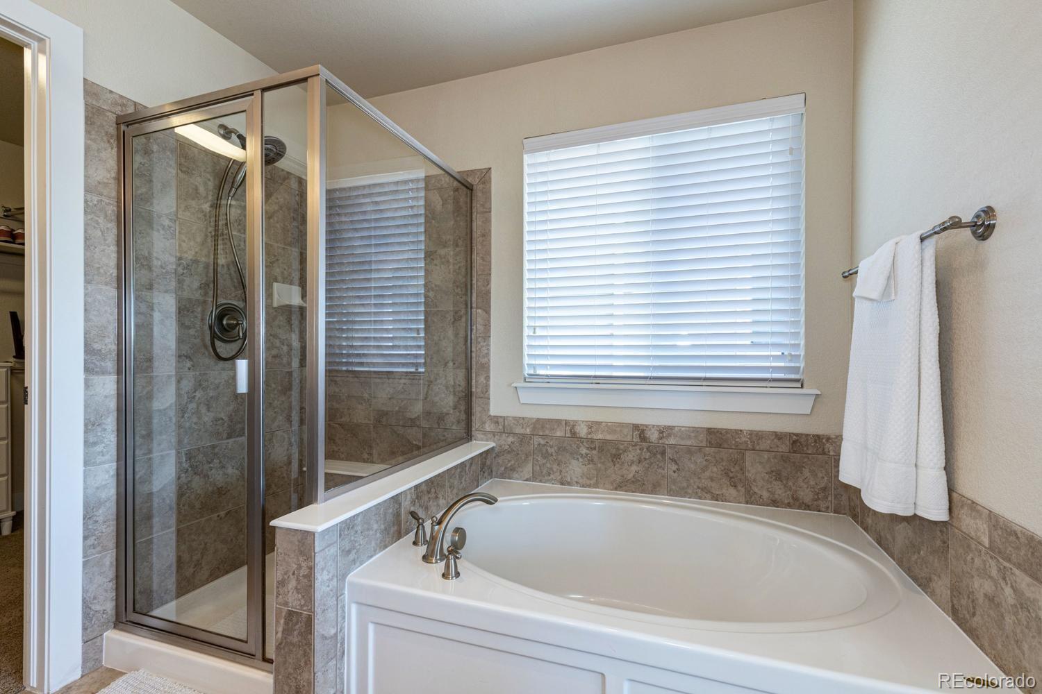 10597 Rutledge Street Parker, CO 80134 - Photo 22 of 29 Gallery Image 22