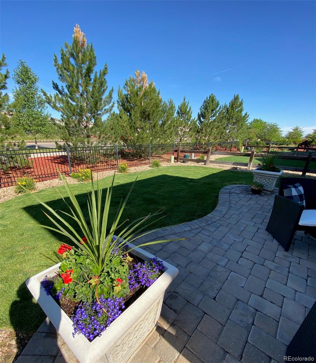 10597 Rutledge Street Parker, CO 80134 - Photo 27 of 29 Gallery Image 27