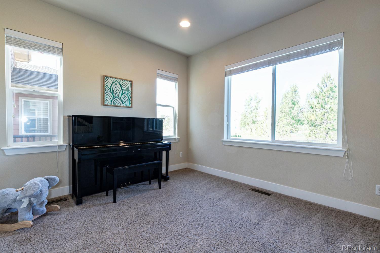 10597 Rutledge Street Parker, CO 80134 - Photo 8 of 29 Gallery Image 8